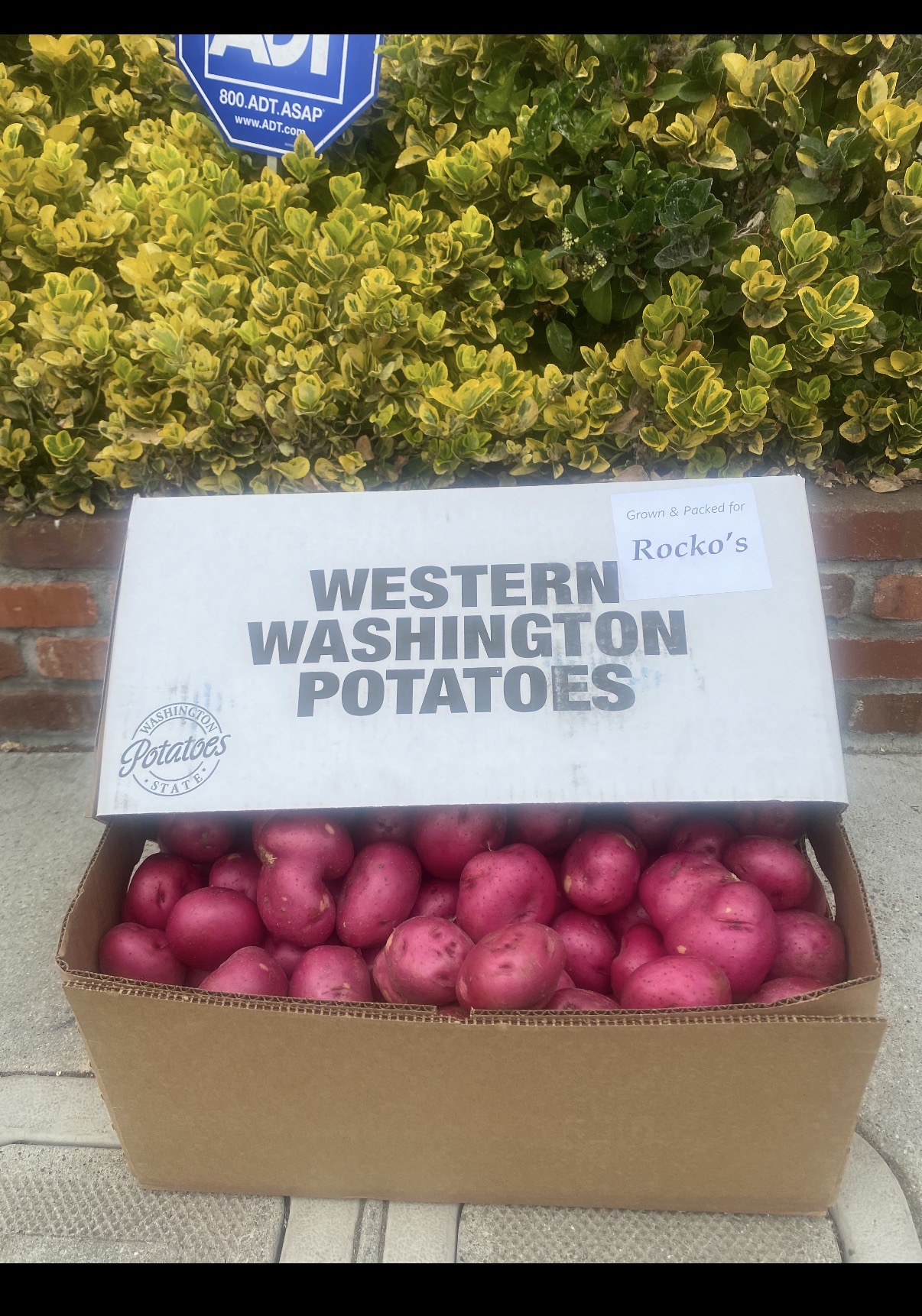 A box of red potatoes marked for Rocko's Produce